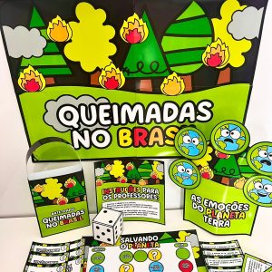 Queimadas no Brasil