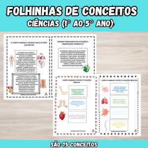 Folhinhas de Conceitos de Ciências do 1° ao 5° Ano